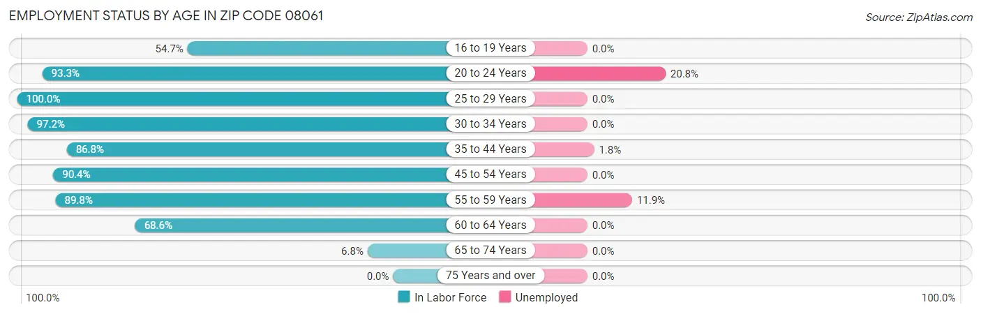 Employment Status by Age in Zip Code 08061