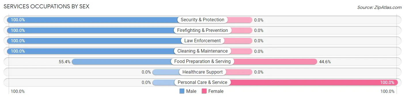 Services Occupations by Sex in Zip Code 08061