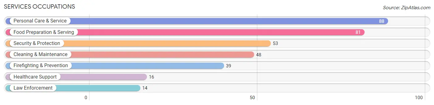 Services Occupations in Zip Code 08063