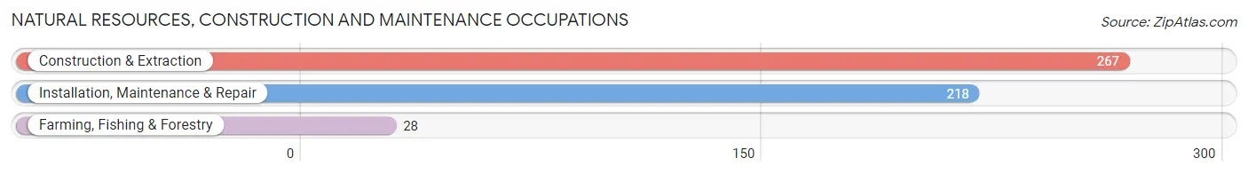 Natural Resources, Construction and Maintenance Occupations in Zip Code 08069