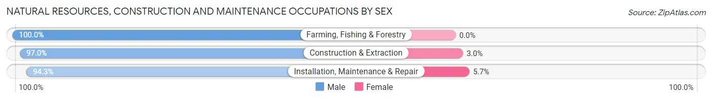 Natural Resources, Construction and Maintenance Occupations by Sex in Zip Code 08088