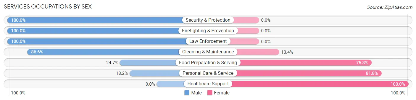 Services Occupations by Sex in Zip Code 08092