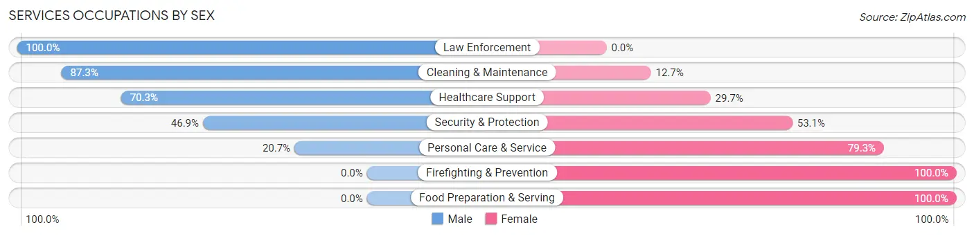 Services Occupations by Sex in Zip Code 08098