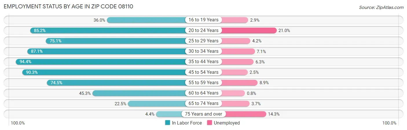 Employment Status by Age in Zip Code 08110