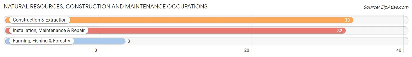 Natural Resources, Construction and Maintenance Occupations in Zip Code 08243