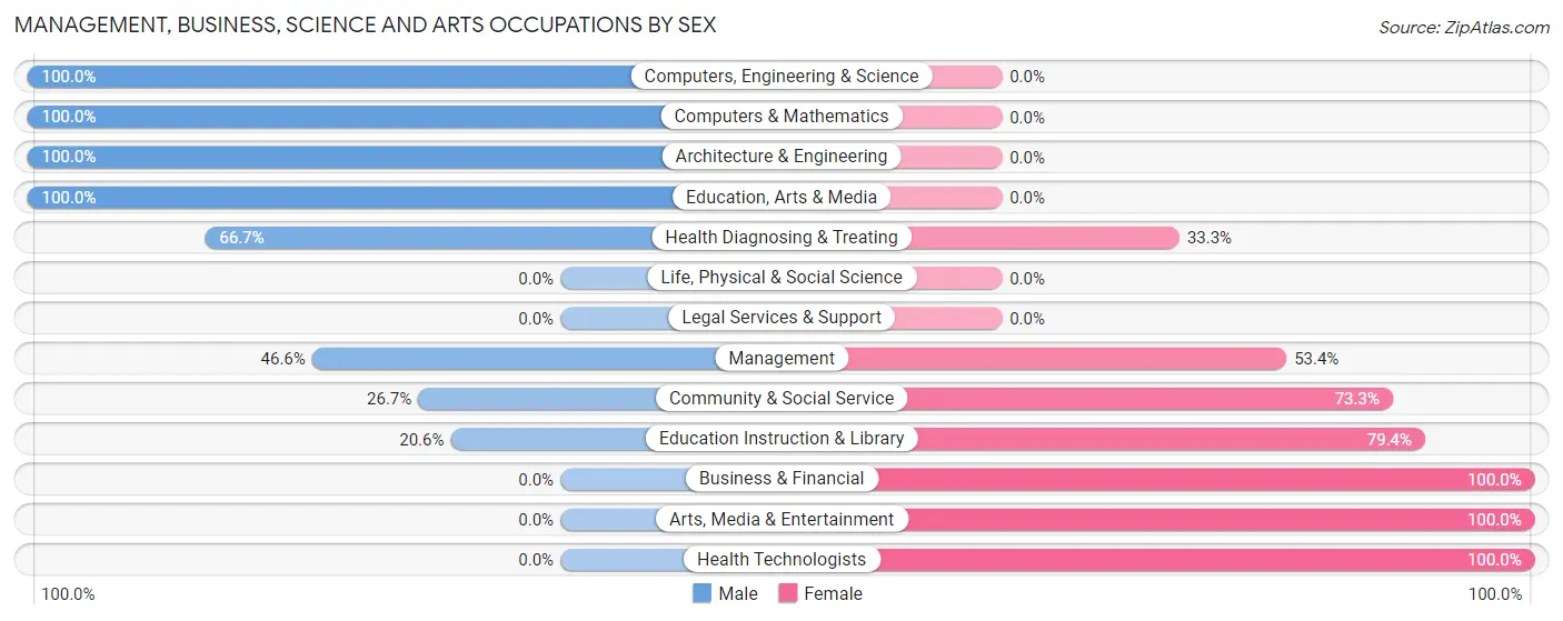Management, Business, Science and Arts Occupations by Sex in Zip Code 08311