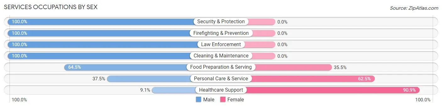 Services Occupations by Sex in Zip Code 08312