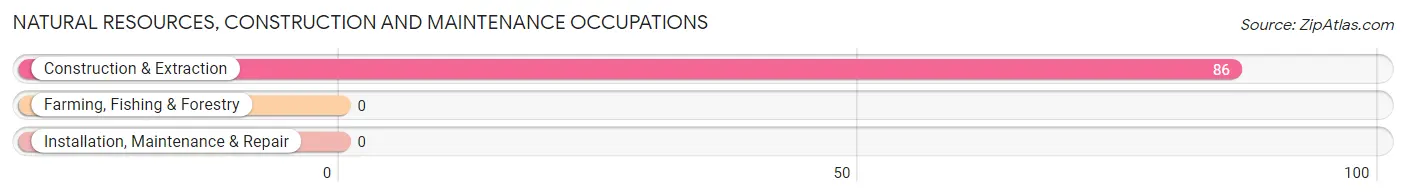 Natural Resources, Construction and Maintenance Occupations in Zip Code 08317