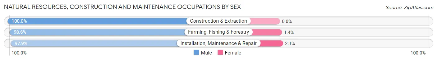 Natural Resources, Construction and Maintenance Occupations by Sex in Zip Code 08332