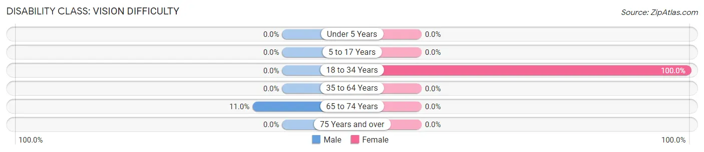 Disability in Zip Code 08340: <span>Vision Difficulty</span>