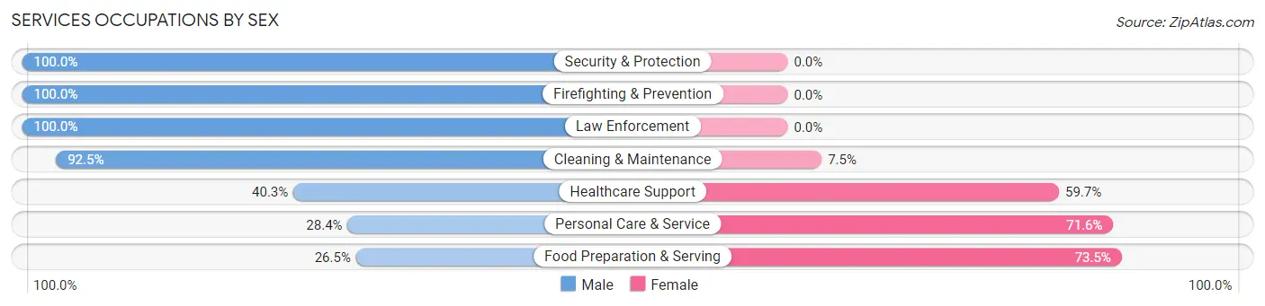 Services Occupations by Sex in Zip Code 08349