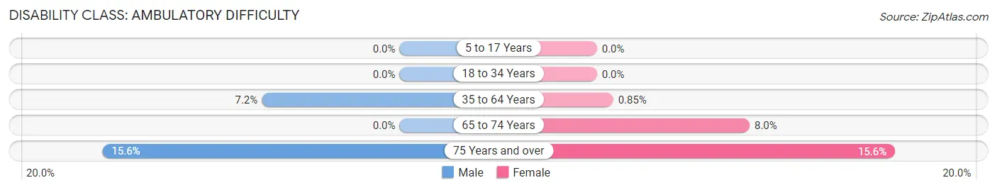 Disability in Zip Code 08501: <span>Ambulatory Difficulty</span>