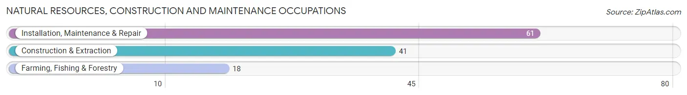 Natural Resources, Construction and Maintenance Occupations in Zip Code 08501