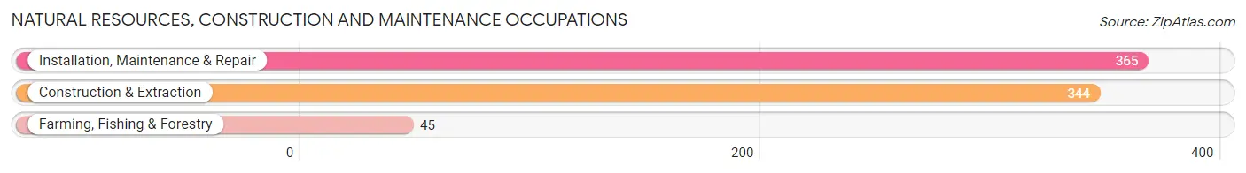 Natural Resources, Construction and Maintenance Occupations in Zip Code 08520