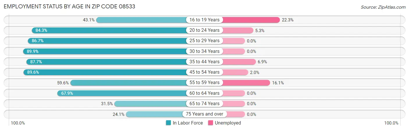 Employment Status by Age in Zip Code 08533