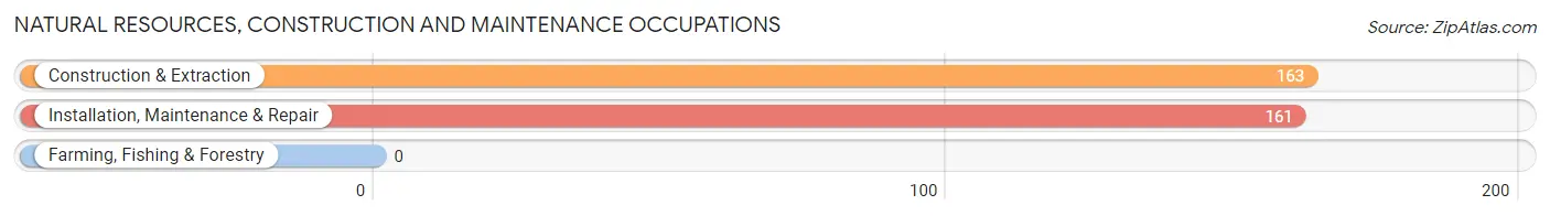 Natural Resources, Construction and Maintenance Occupations in Zip Code 08536