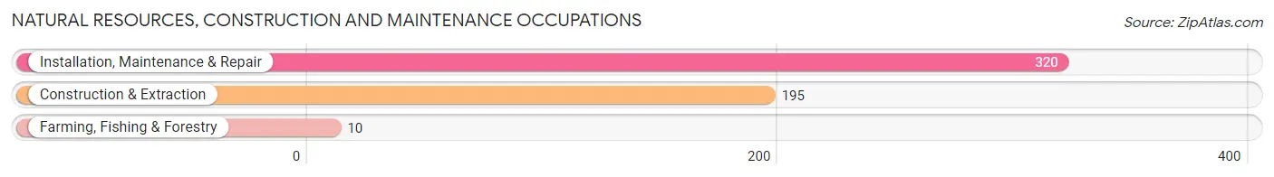 Natural Resources, Construction and Maintenance Occupations in Zip Code 08722