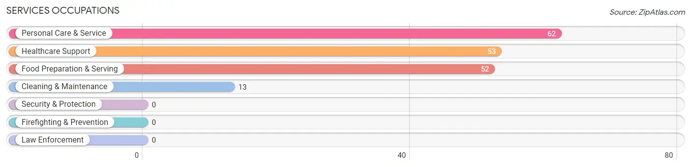 Services Occupations in Zip Code 08810