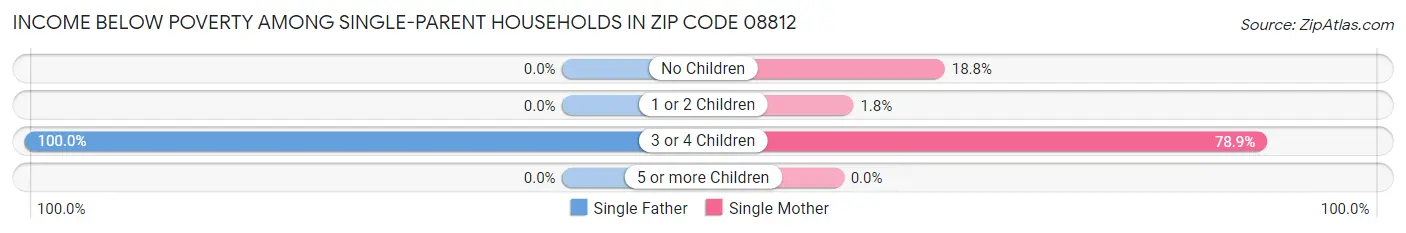 Income Below Poverty Among Single-Parent Households in Zip Code 08812