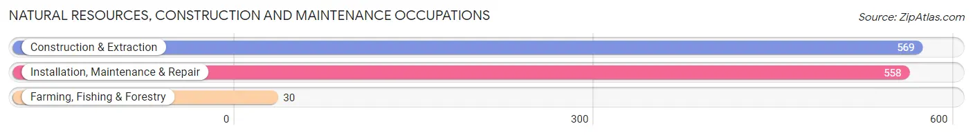 Natural Resources, Construction and Maintenance Occupations in Zip Code 08816