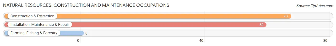 Natural Resources, Construction and Maintenance Occupations in Zip Code 08823