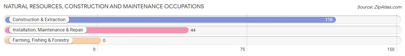 Natural Resources, Construction and Maintenance Occupations in Zip Code 08824