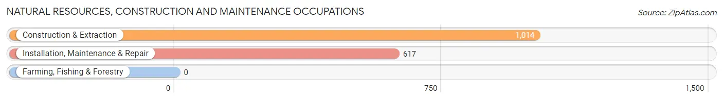 Natural Resources, Construction and Maintenance Occupations in Zip Code 08857