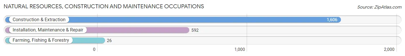 Natural Resources, Construction and Maintenance Occupations in Zip Code 08901