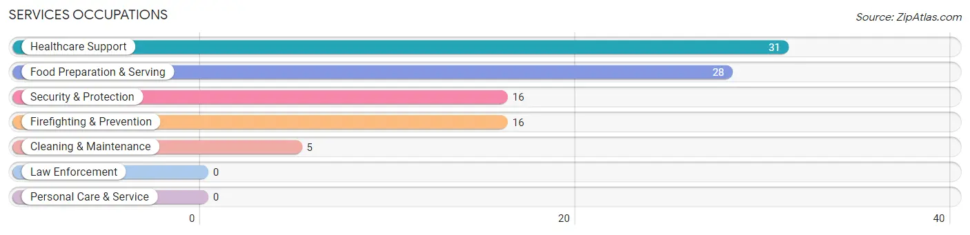 Services Occupations in Zip Code 10004