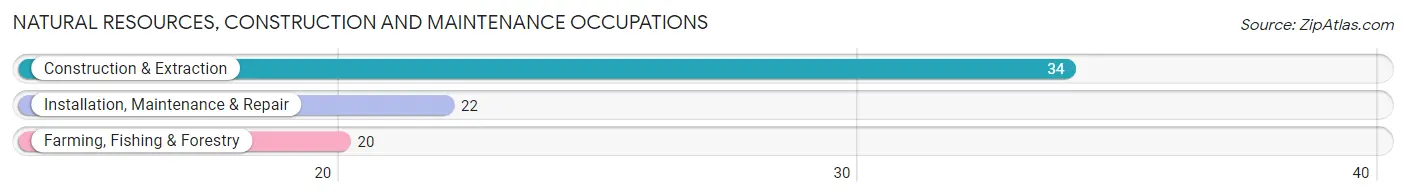 Natural Resources, Construction and Maintenance Occupations in Zip Code 10012