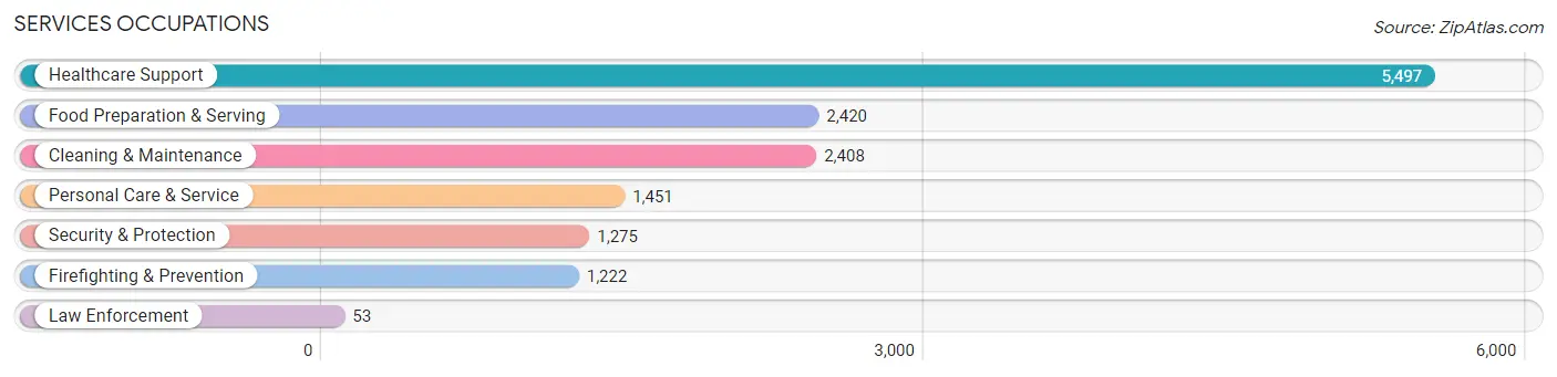 Services Occupations in Zip Code 10456