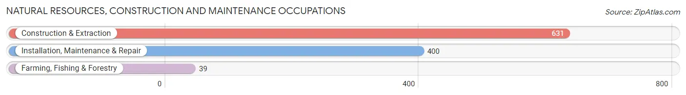 Natural Resources, Construction and Maintenance Occupations in Zip Code 10473