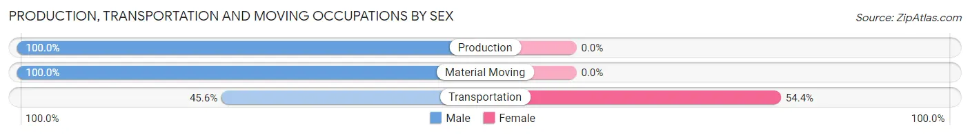 Production, Transportation and Moving Occupations by Sex in Zip Code 10507