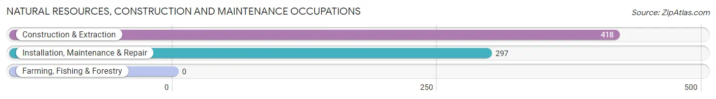 Natural Resources, Construction and Maintenance Occupations in Zip Code 10509