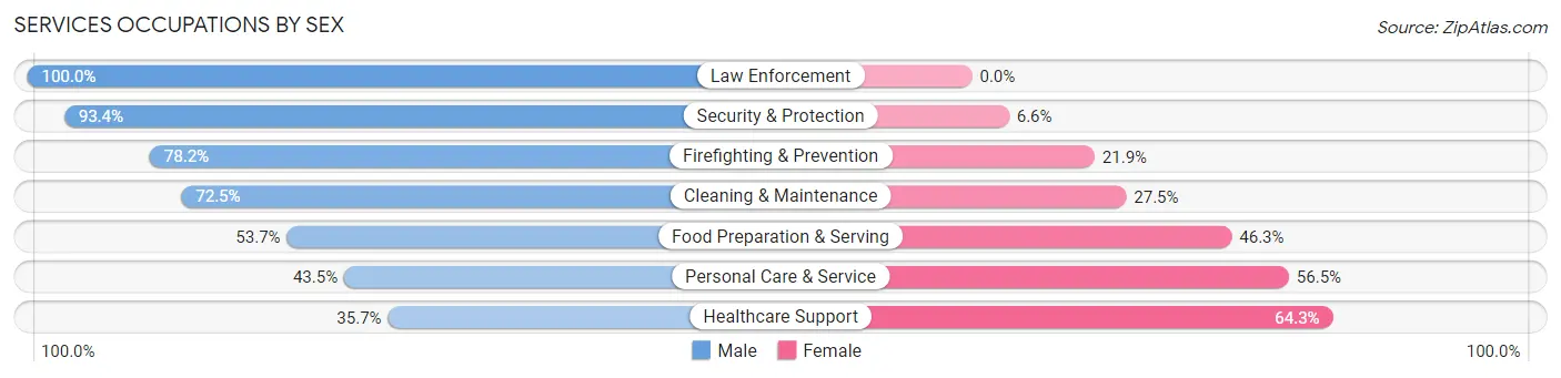 Services Occupations by Sex in Zip Code 10509