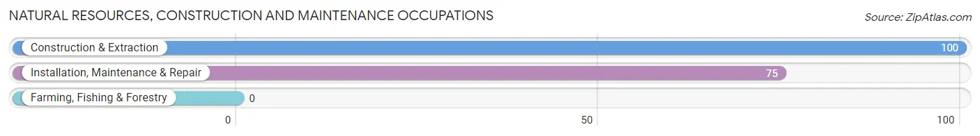 Natural Resources, Construction and Maintenance Occupations in Zip Code 10537