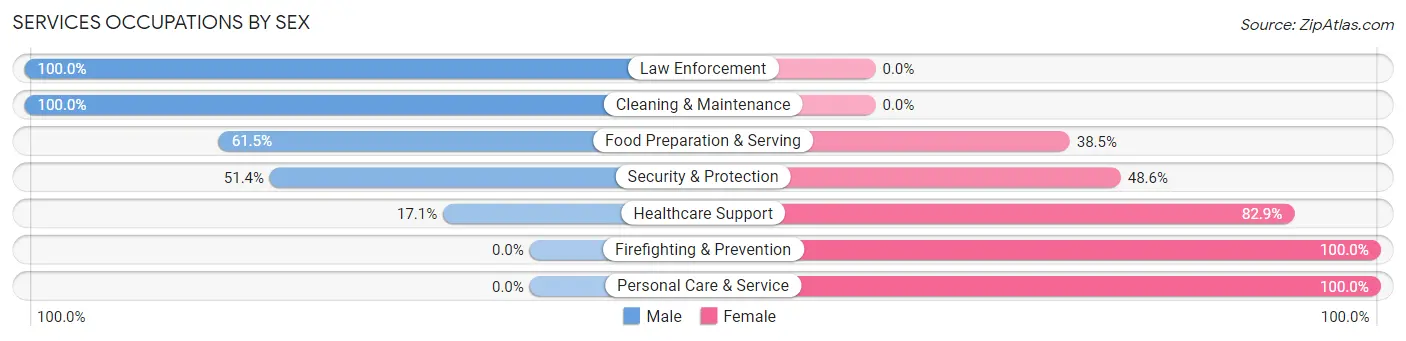 Services Occupations by Sex in Zip Code 10537