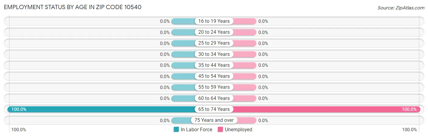 Employment Status by Age in Zip Code 10540