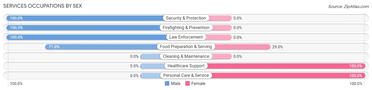 Services Occupations by Sex in Zip Code 10589