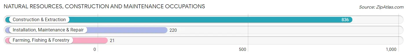 Natural Resources, Construction and Maintenance Occupations in Zip Code 10591