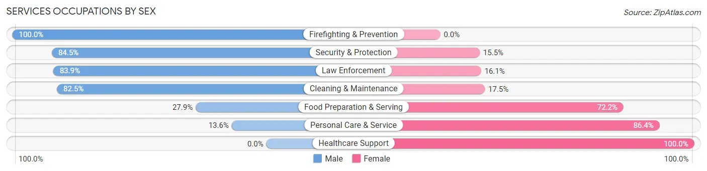 Services Occupations by Sex in Zip Code 10595