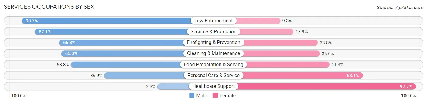 Services Occupations by Sex in Zip Code 10704
