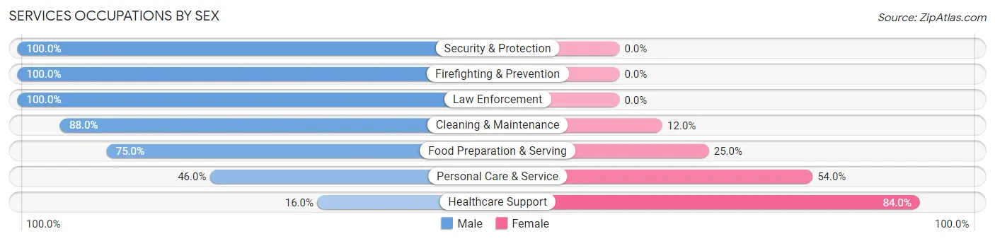 Services Occupations by Sex in Zip Code 10706