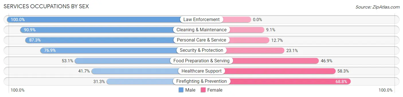 Services Occupations by Sex in Zip Code 10707