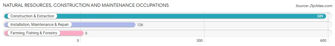 Natural Resources, Construction and Maintenance Occupations in Zip Code 10805