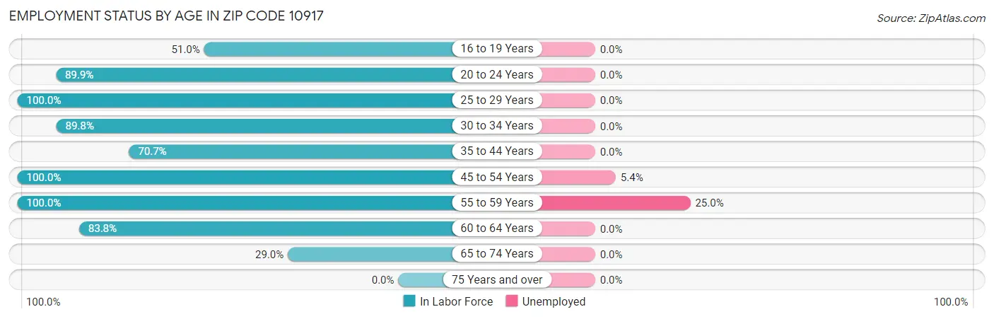 Employment Status by Age in Zip Code 10917