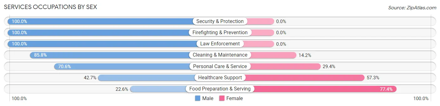 Services Occupations by Sex in Zip Code 10918
