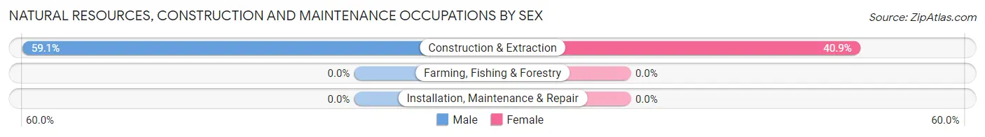 Natural Resources, Construction and Maintenance Occupations by Sex in Zip Code 10932