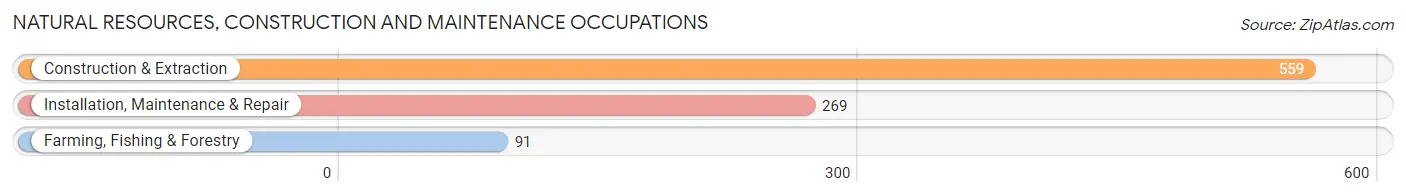 Natural Resources, Construction and Maintenance Occupations in Zip Code 10954