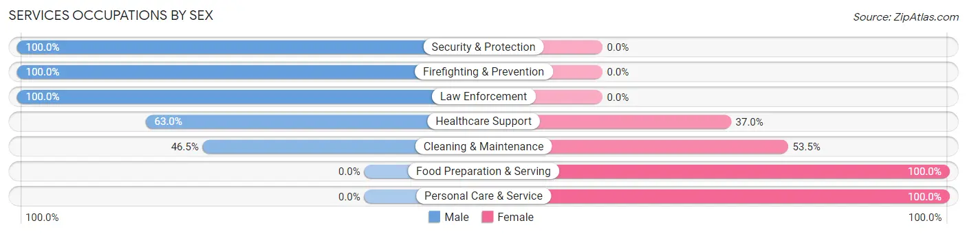 Services Occupations by Sex in Zip Code 10973